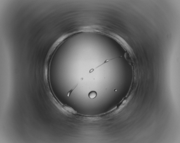X0000114191196200910161158
