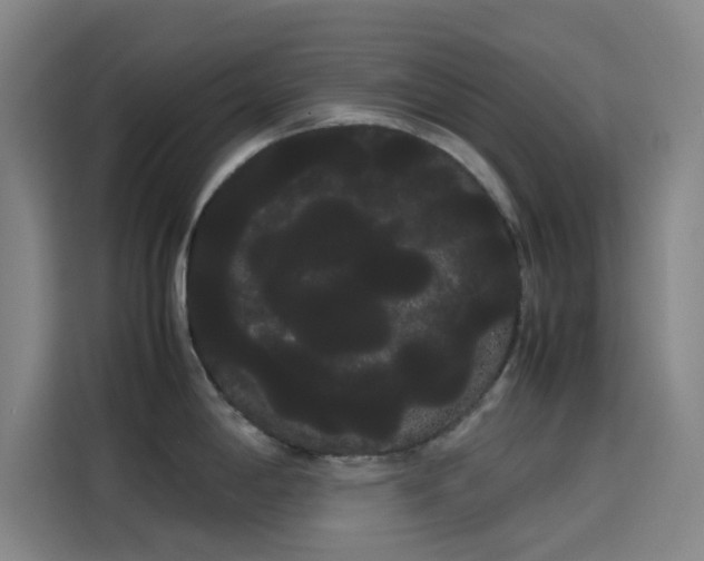 X0000114191198200910161158