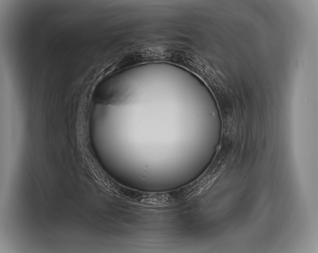 X0000114191201200910161157