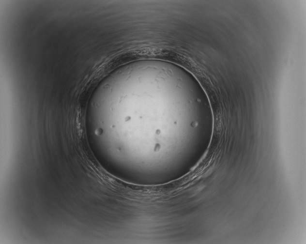 X0000114191202200910161157
