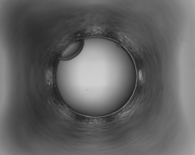 X0000114191203200910161157