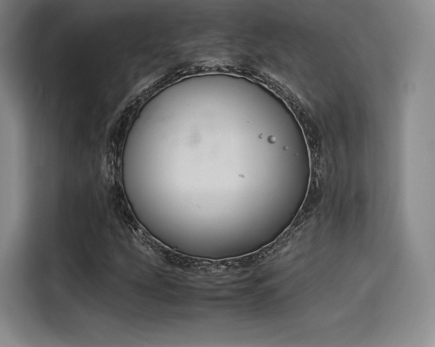 X0000114191207200910161157