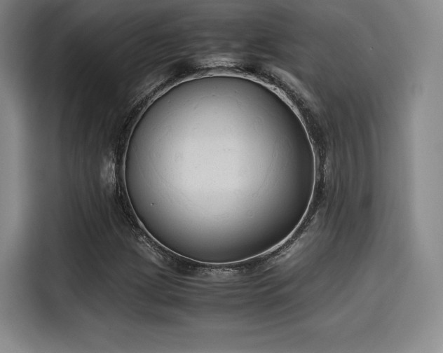 X0000114191209200910161157