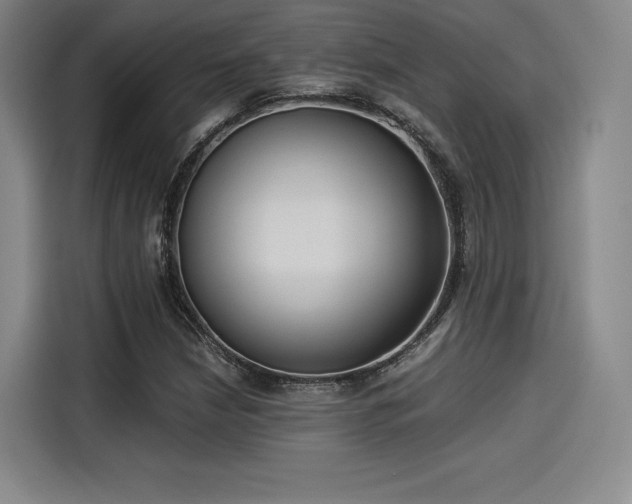 X0000114191210200910161157