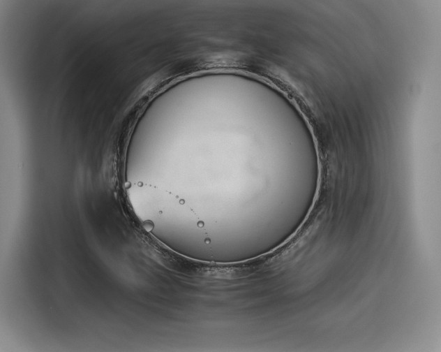 X0000114191211200910161157