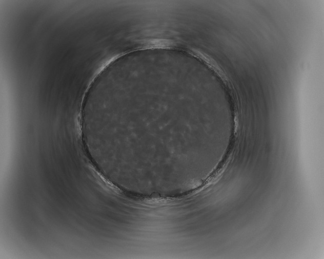 X0000114191212200910161157