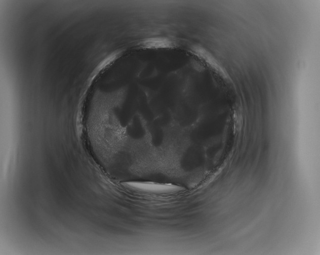 X0000114191213200910161157