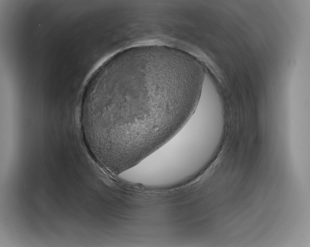 X0000114191216200910161157