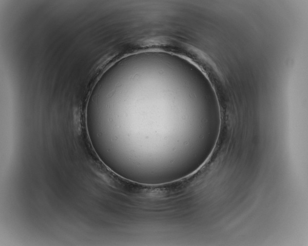 X0000114191217200910161157