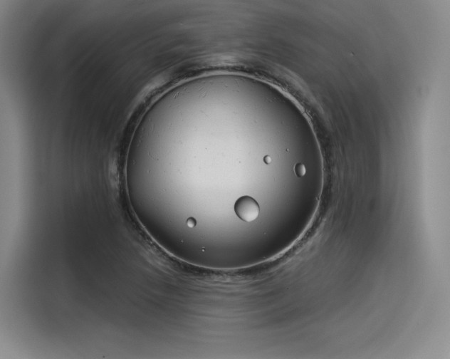 X0000114191218200910161157