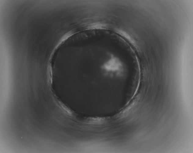 X0000114191219200910161157