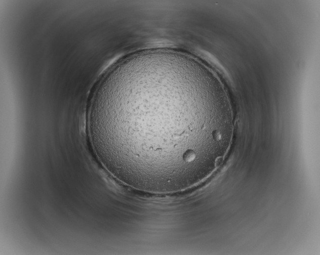 X0000114191220200910161157