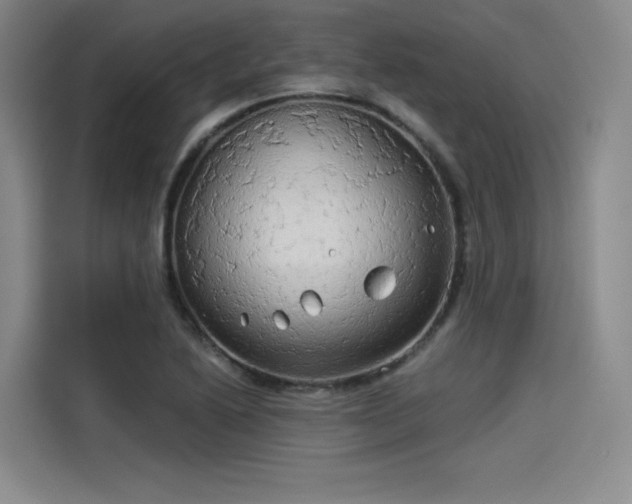 X0000114191222200910161157