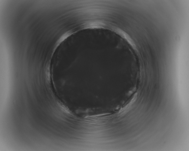 X0000114191226200910161157
