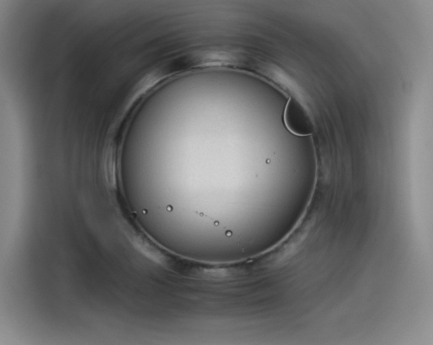 X0000114191227200910161157