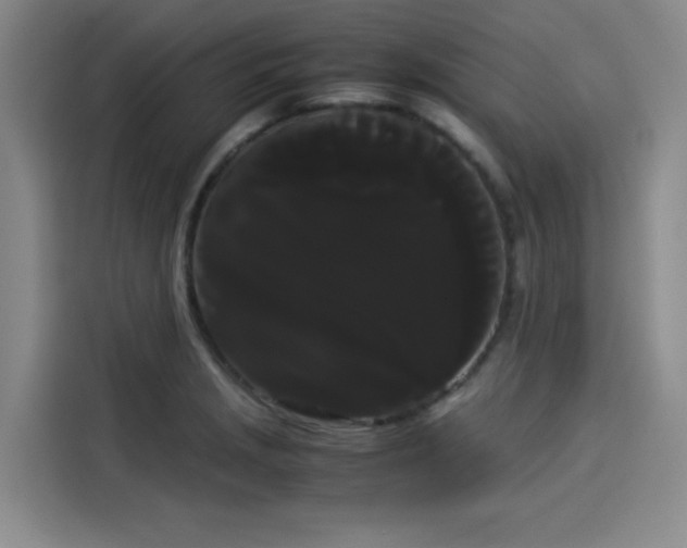 X0000114191229200910161157