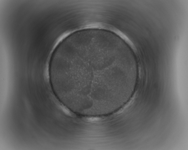 X0000114191230200910161157