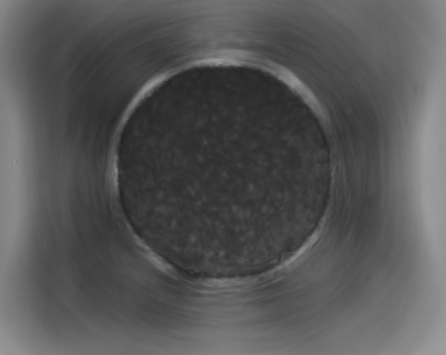 X0000114191232200910161157
