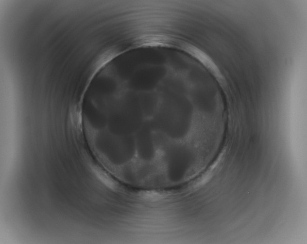X0000114191234200910161157