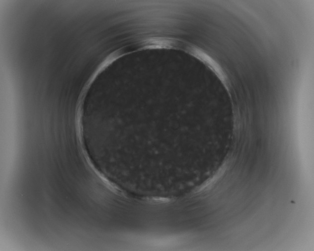 X0000114191235200910161157