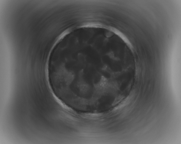 X0000114191237200910161157