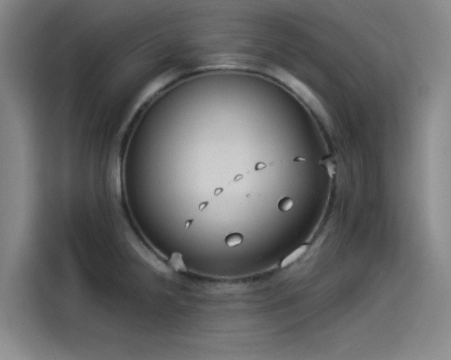 X0000114191238200910161157