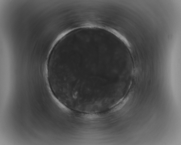 X0000114191239200910161157