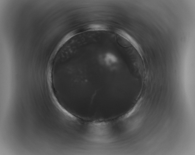 X0000114191243200910161157