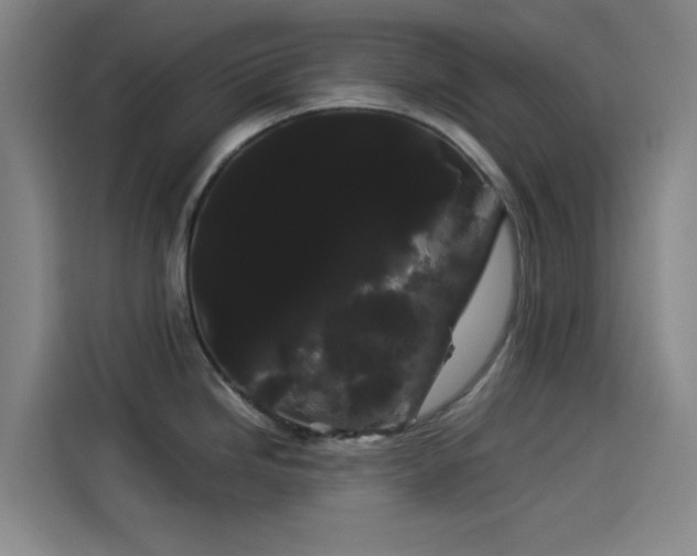 X0000114191246200910161157