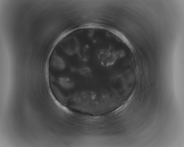 X0000114191247200910161157