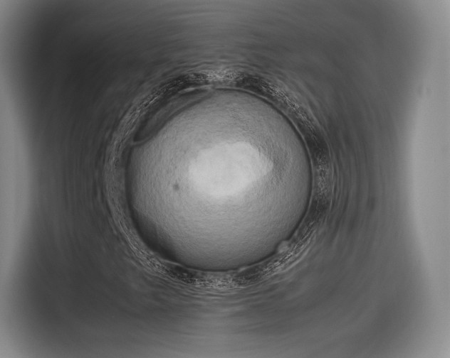 X0000114191249200910161157
