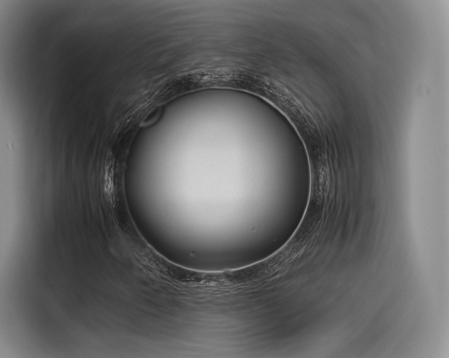 X0000114191250200910161157
