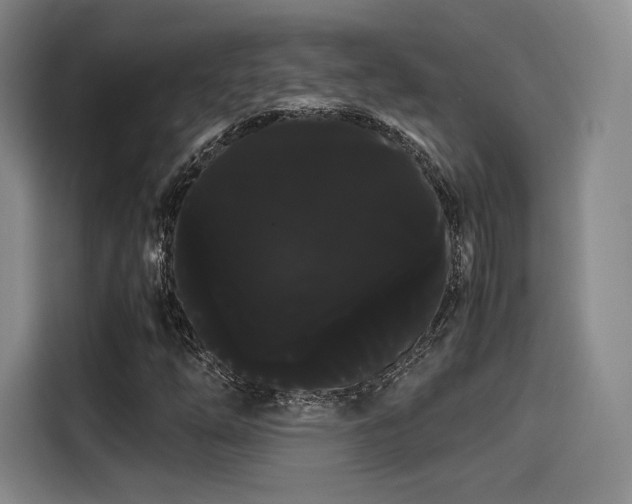 X0000114191254200910161157