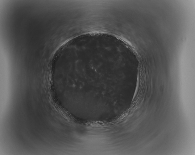 X0000114191255200910161157
