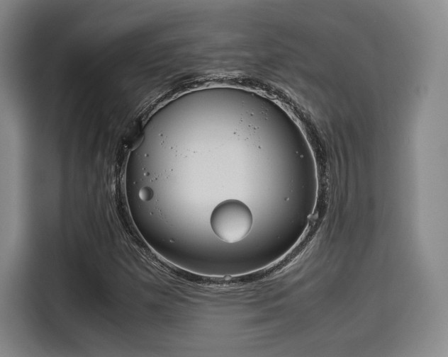 X0000114191257200910161157