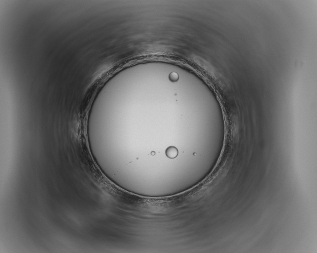 X0000114191258200910161157