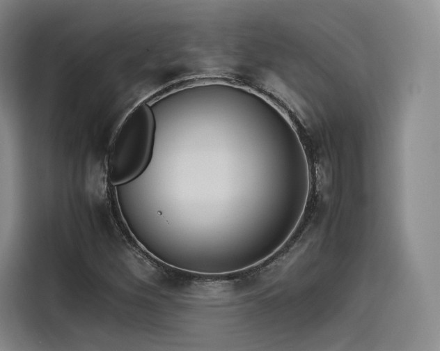 X0000114191260200910161157