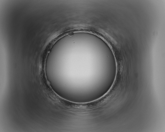 X0000114191261200910161157