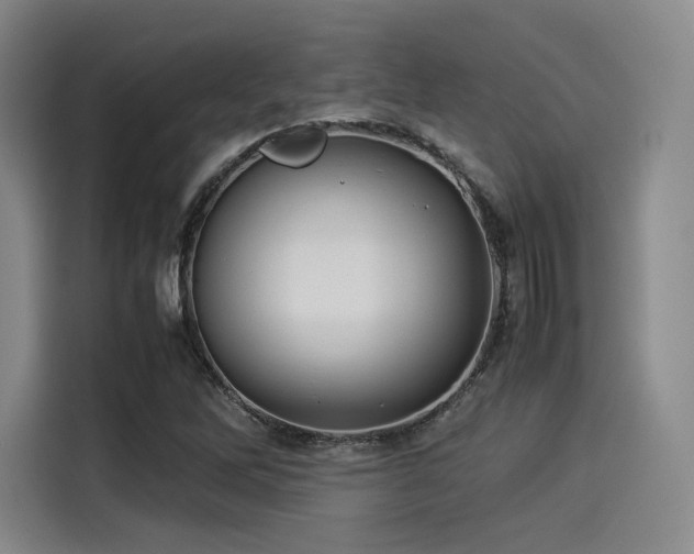 X0000114191262200910161157