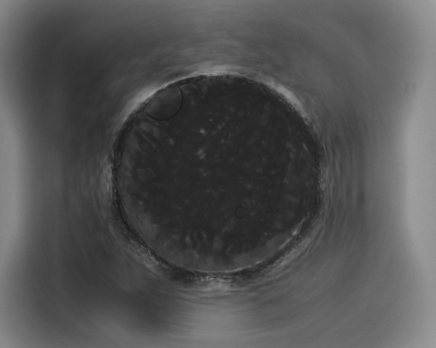 X0000114191263200910161157