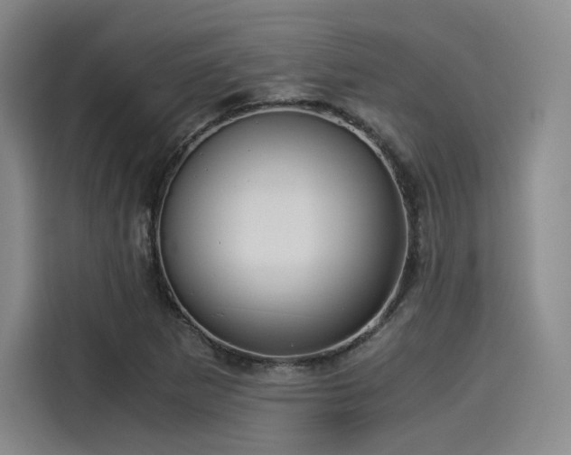 X0000114191265200910161157