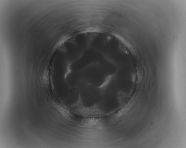 X0000114191266200910161157