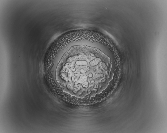 X0000114191267200910161157