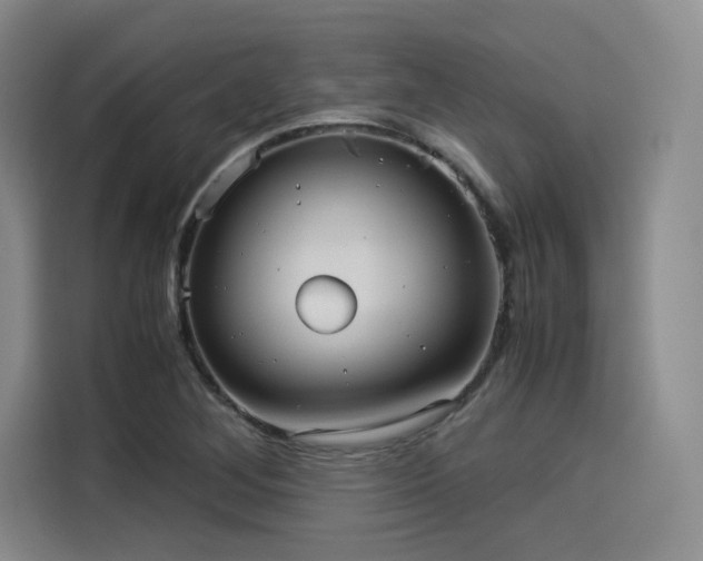 X0000114191268200910161157