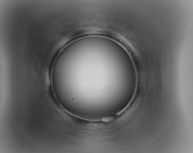 X0000114191269200910161157