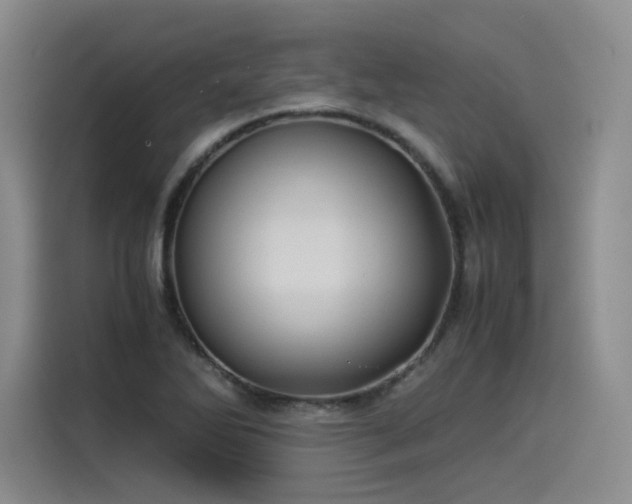 X0000114191270200910161157