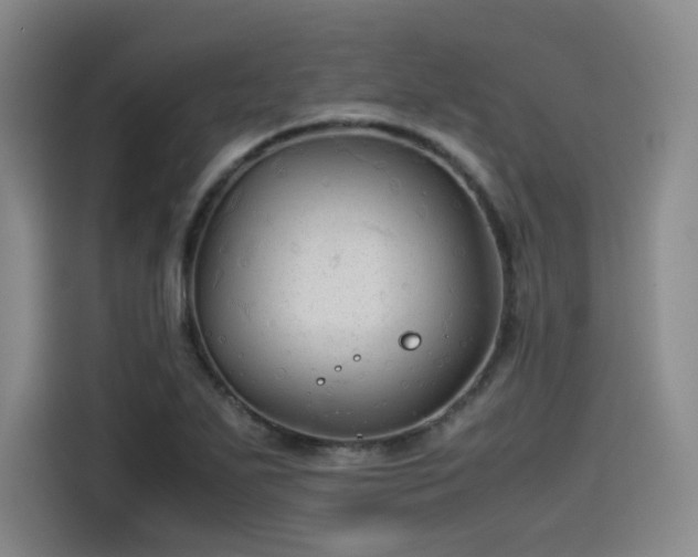 X0000114191271200910161157