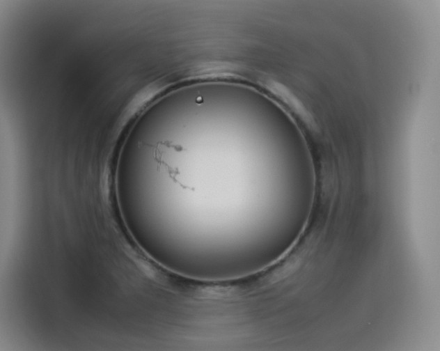 X0000114191277200910161157