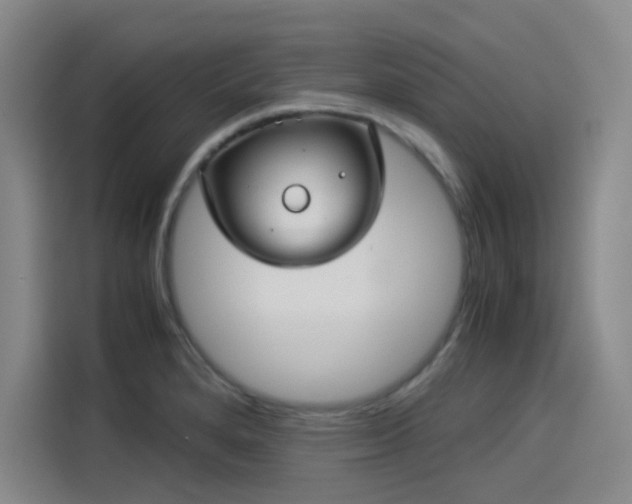 X0000114191280200910161156