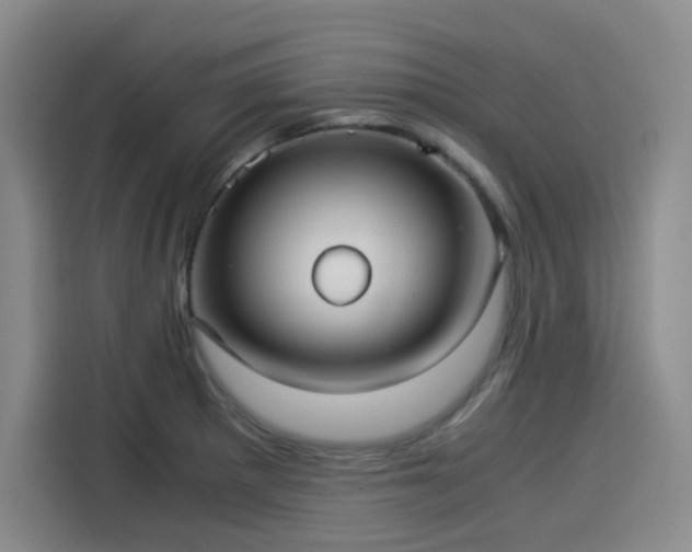 X0000114191281200910161156